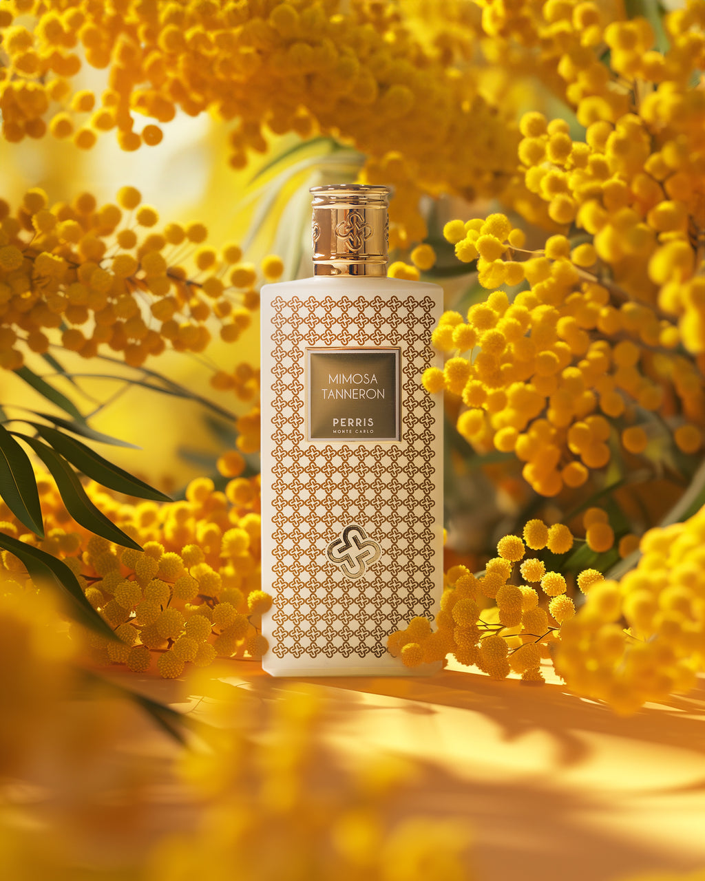 PERRIS MONTE CARLO - image