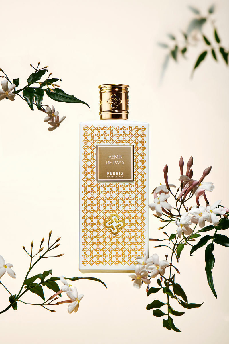 Jasmin de Pays – Maison Perris Jasmin de Pays – Maison Perris