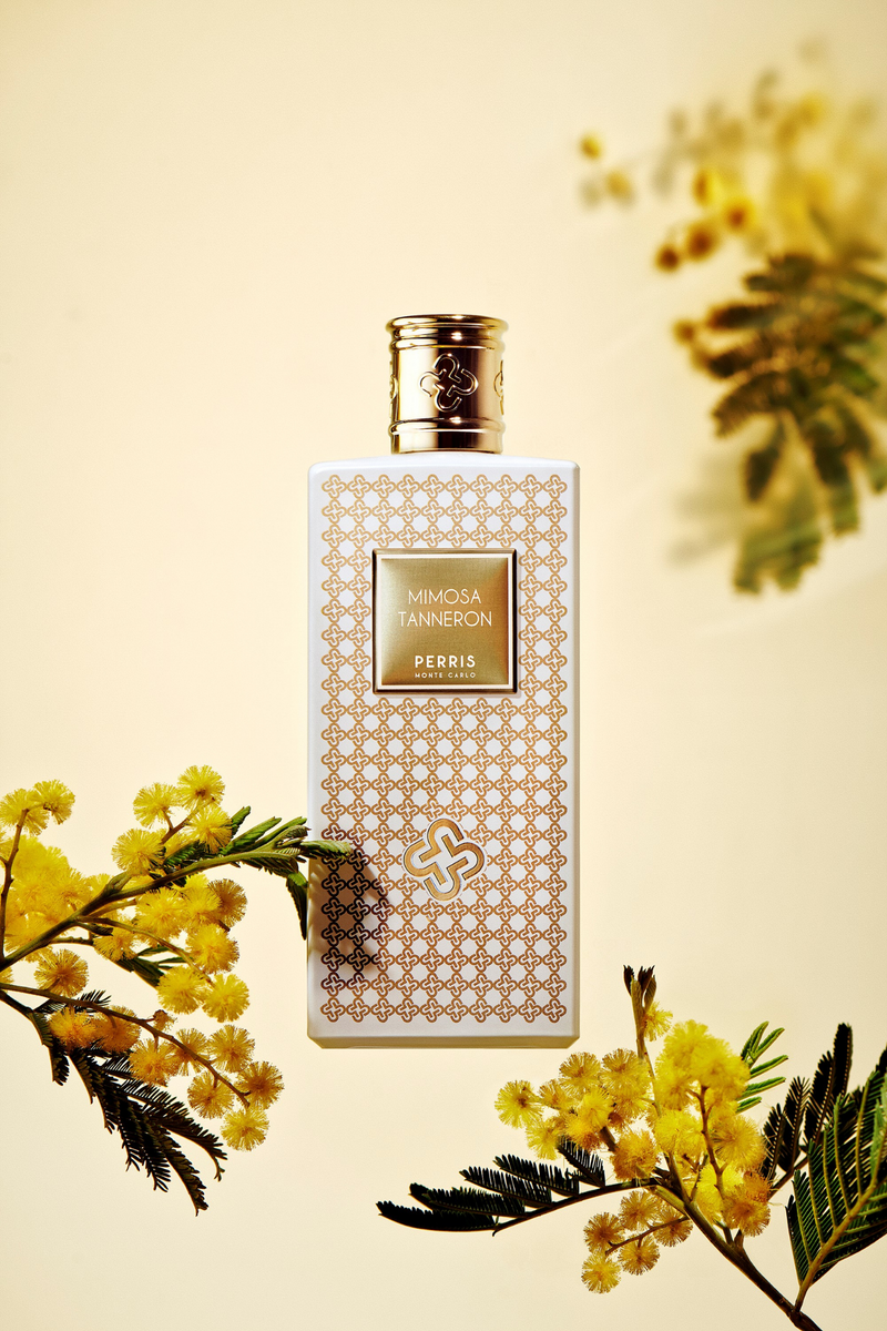 Mimosa Tanneron – Maison Perris Mimosa Tanneron – Maison Perris