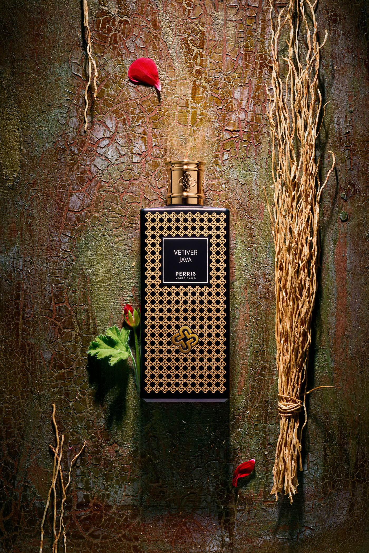 Vetiver Java – Perris Monte Carlo - Main Image